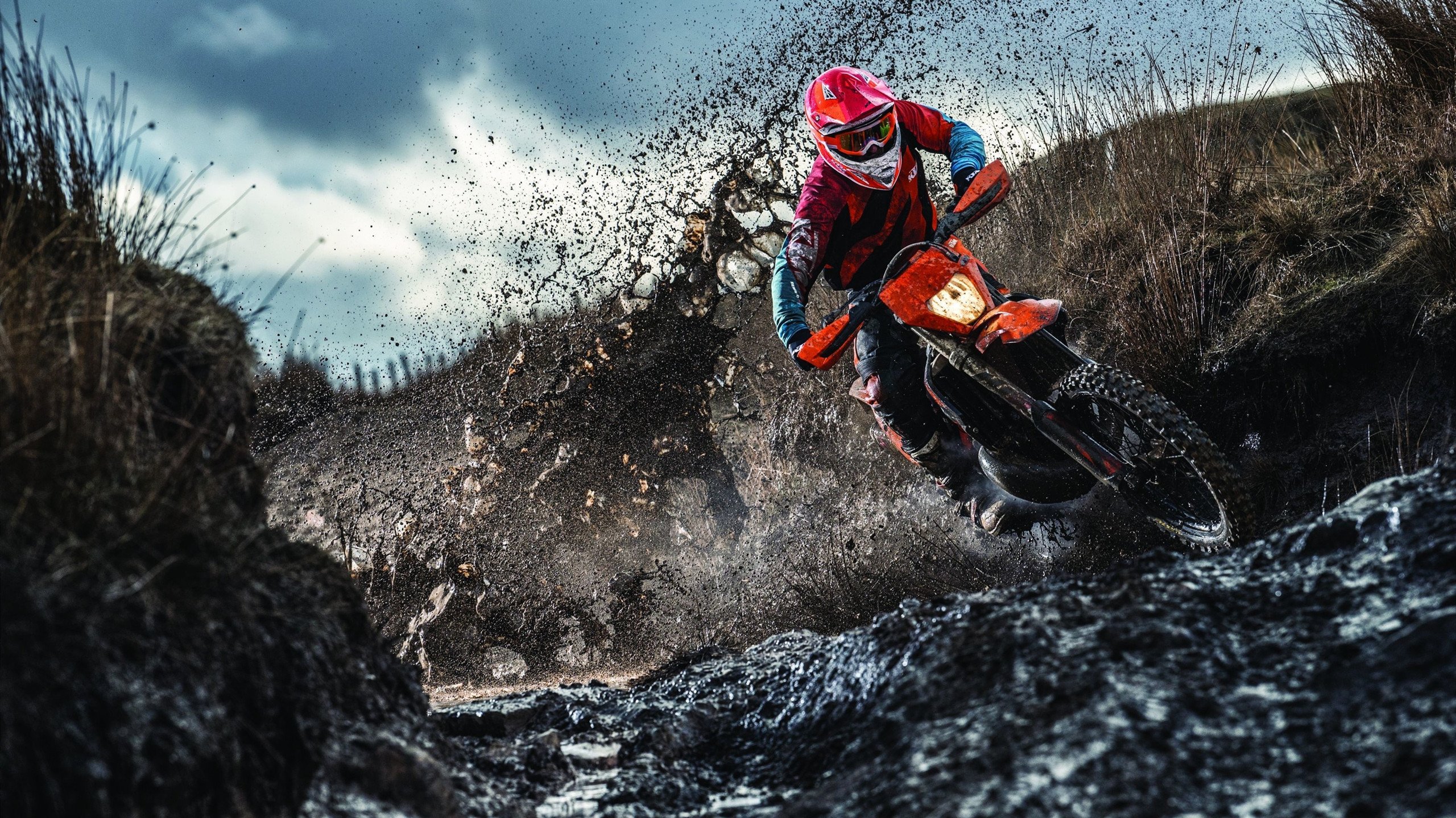 -小牛队后卫状态回升 带领球队迈向胜利，小牛队人员