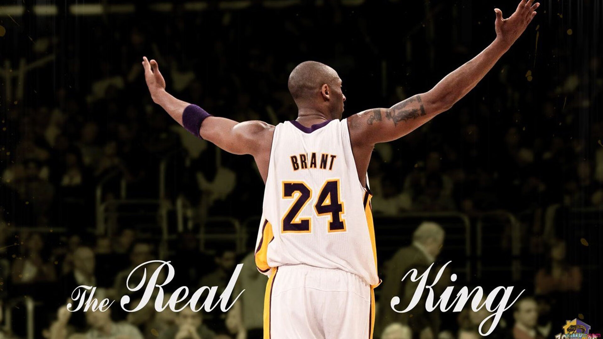 山东泰山主场连胜势头不减，山东泰山队最新进展